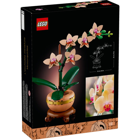 LEGO Botanicals 10343 - Mini orhidee - cutie spate
