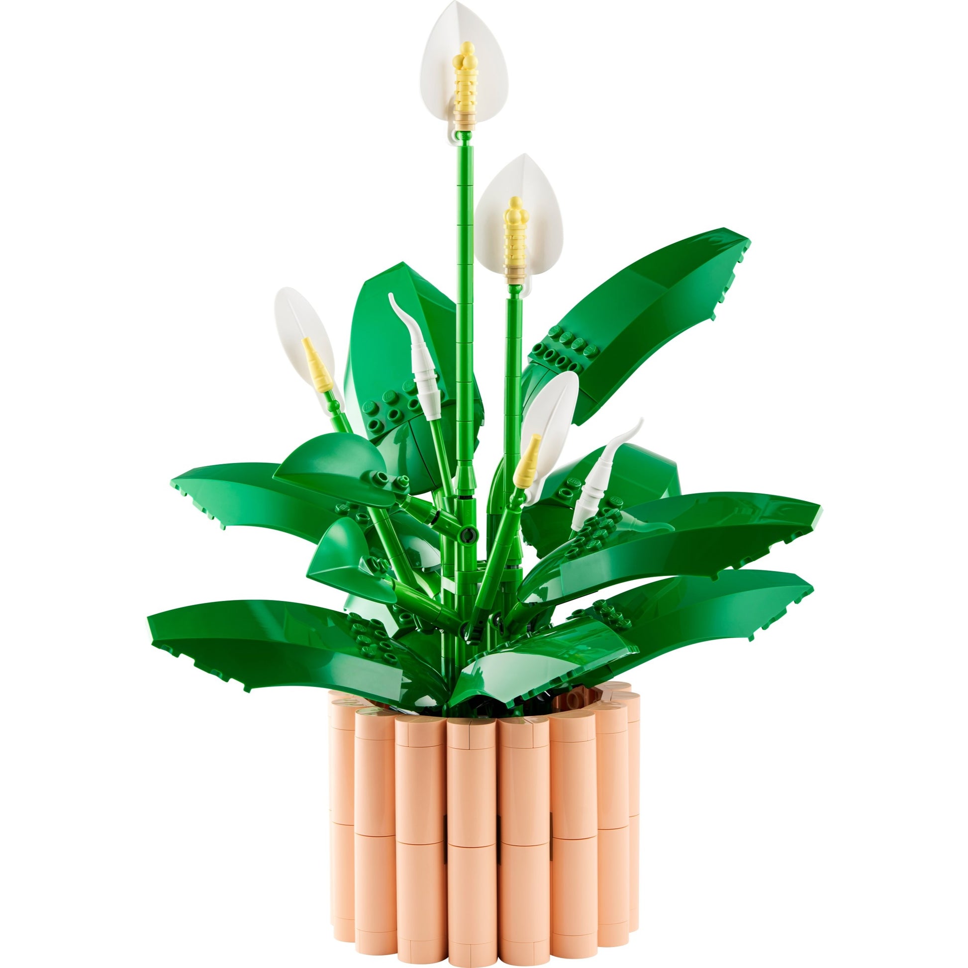 LEGO Botanicals 11504 Peace Lily - set construit