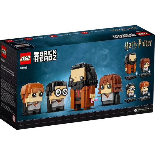 LEGO Harry Potter™ 40495 - Harry, Hermione, Ron și Hagrid™ - cutie spate