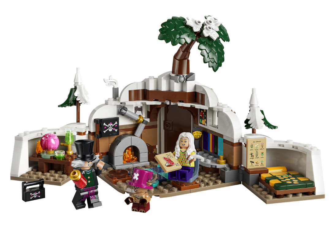 LEGO One Piece 75641 - set construit