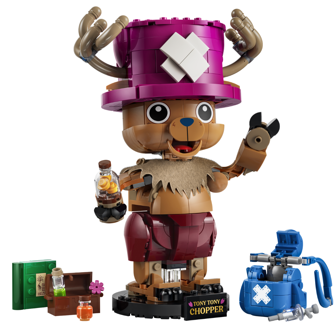 LEGO One Piece 75643 - set construit