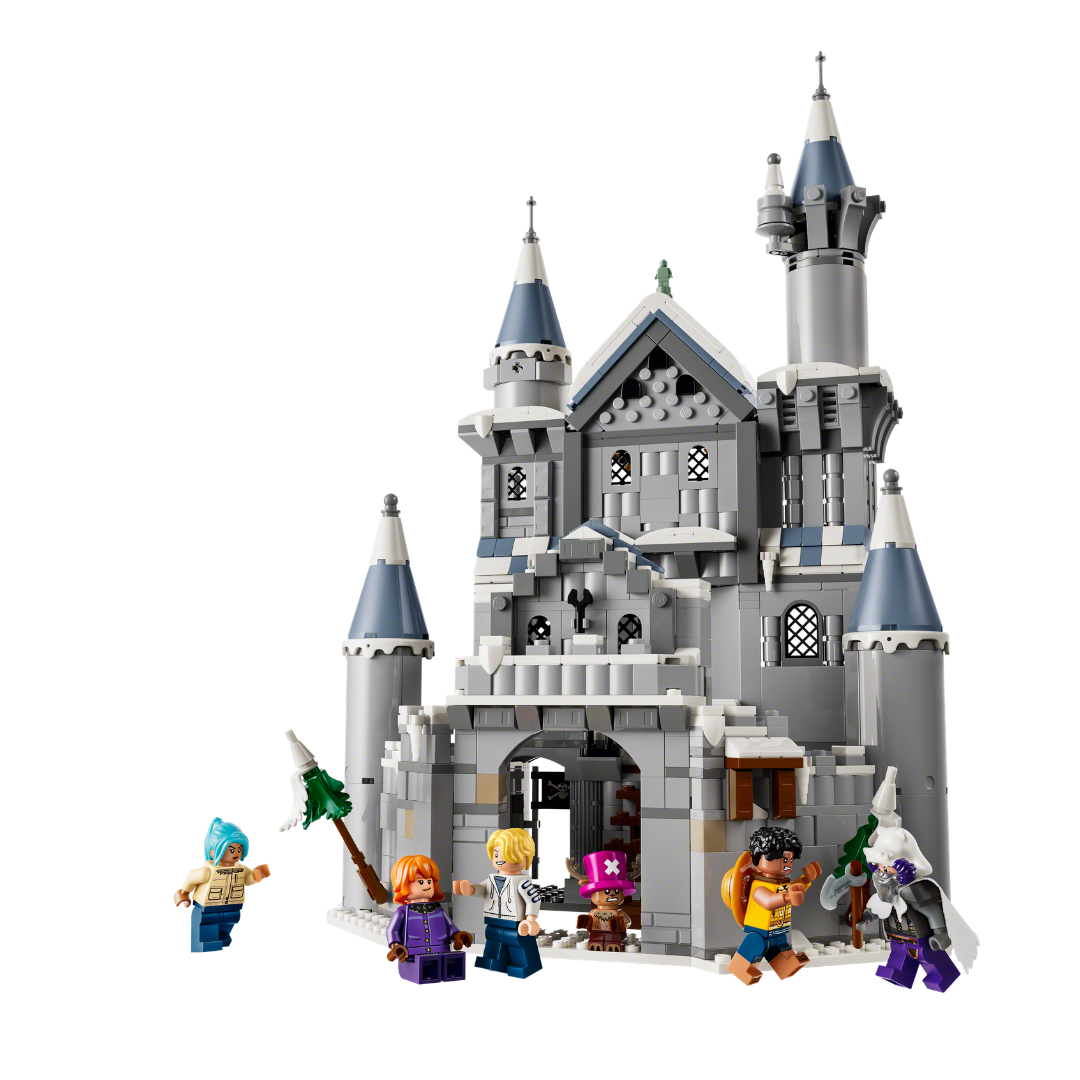 LEGO One Piece 75645 - set construit